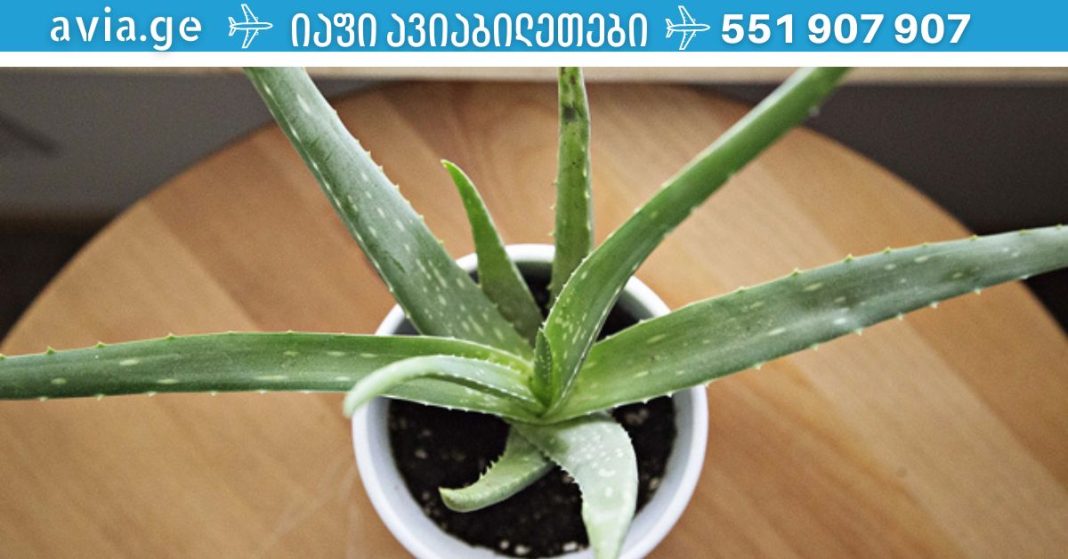 xr:d:DAFDpjCTLwk:1600,j:39849015488,t:22110307