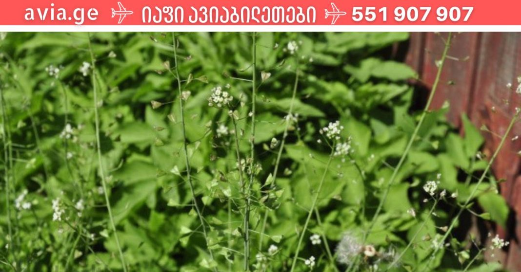 xr:d:DAFDpjCTLwk:1691,j:41114320836,t:22111606