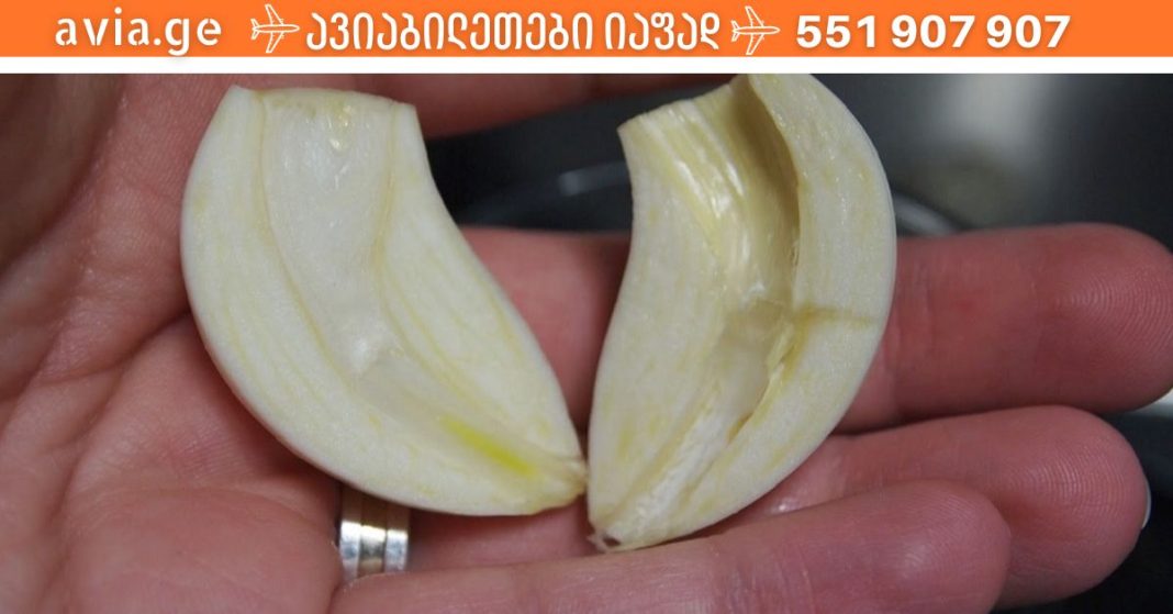 xr:d:DAFDpjCTLwk:1858,j:349795963,t:22121307