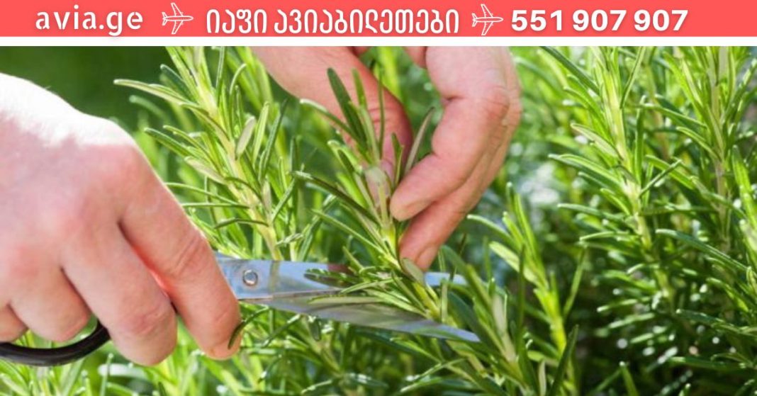 xr:d:DAFDpjCTLwk:1634,j:40432893396,t:22110905