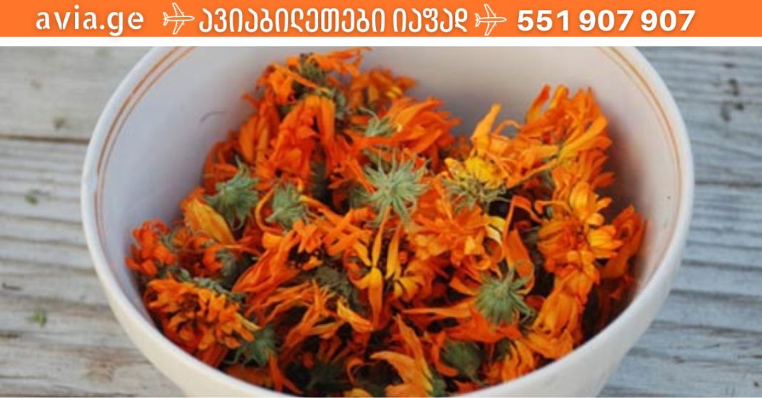 xr:d:DAFDpjCTLwk:1971,j:1031308463,t:22122714