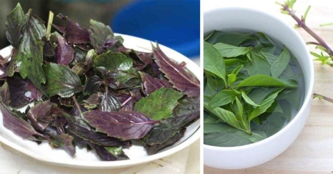 Cure High Blood Pressure Fast Cure High Blood Pressure