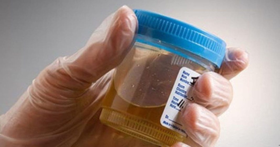 Natural Antibiotic Natural Antibiotic