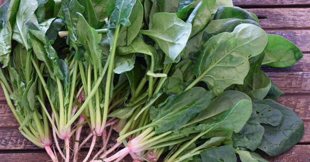 Spinach