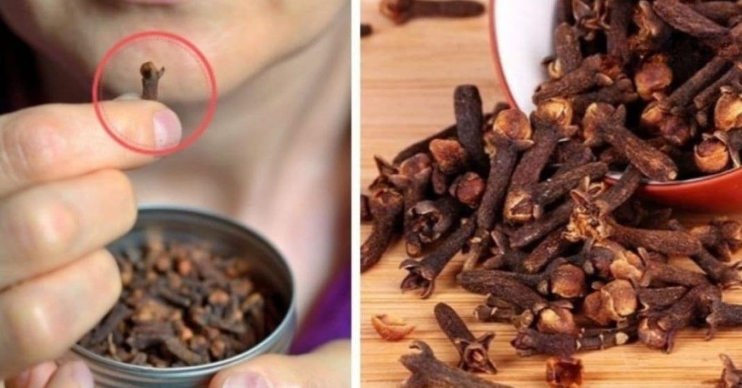 cloves clove benefits