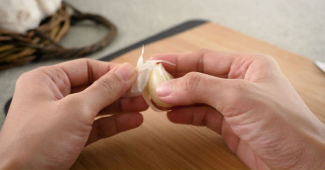 cloves of garlic garlic