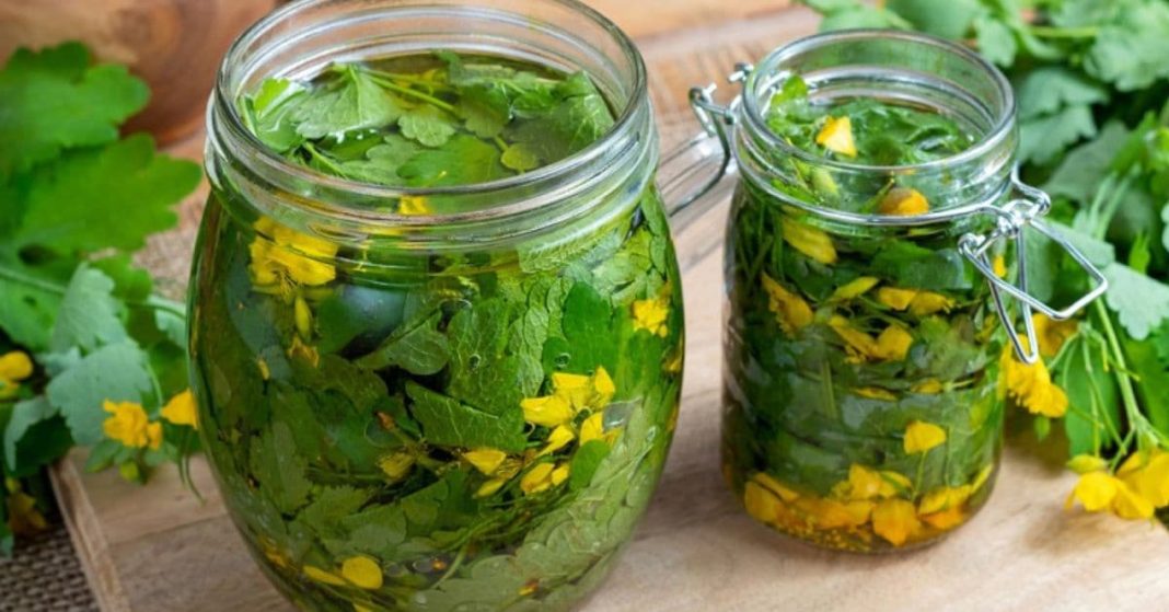 ქრისტესტესისხლა