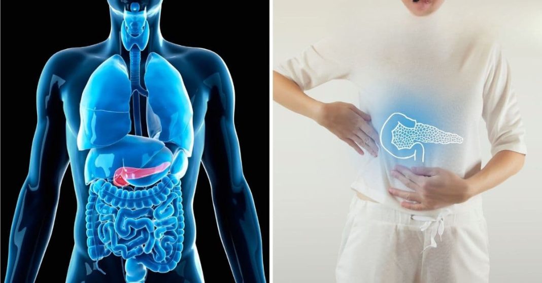 პანკრეასის მკურნალობა