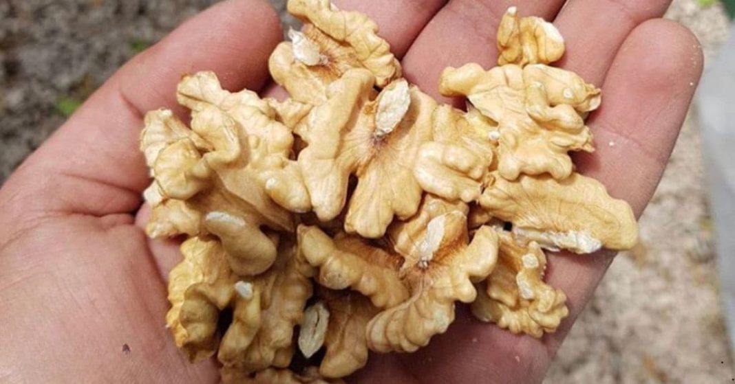walnuts