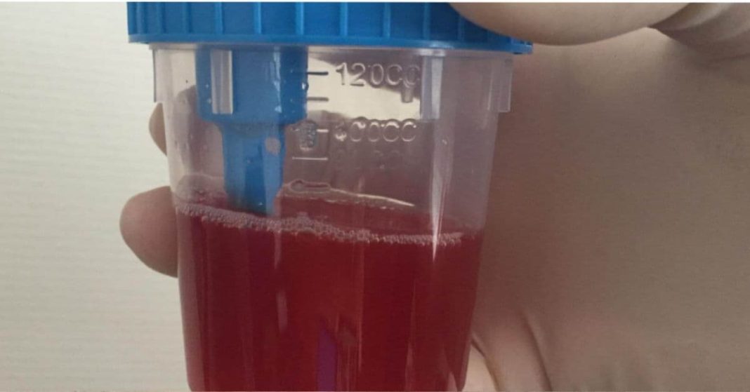 nato xalxuri - 2025-08-09T121955.356 (1)