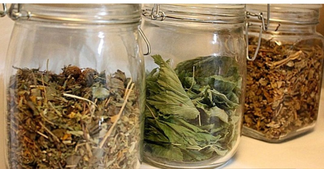 სამკურნალო მცენარეები