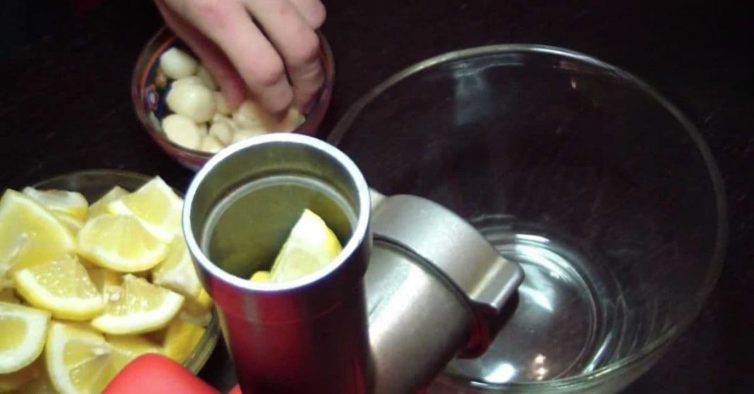 nato xalxuri - 2025-08-12T092649.548 (1)