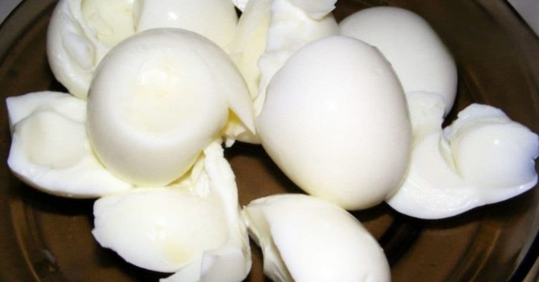 კვერცხის ცილა