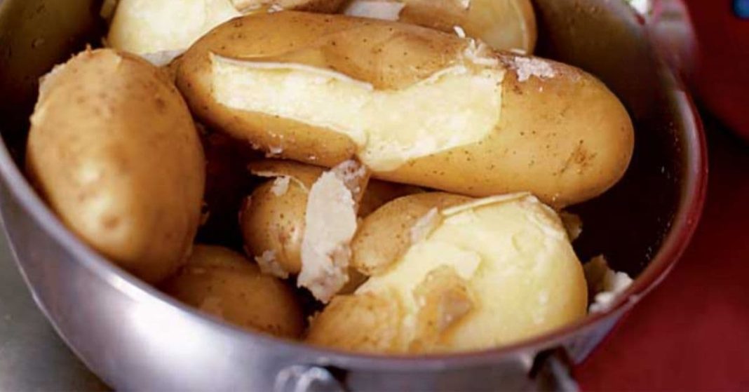 nato xalxuri - 2025-08-15T122233.063 (1)