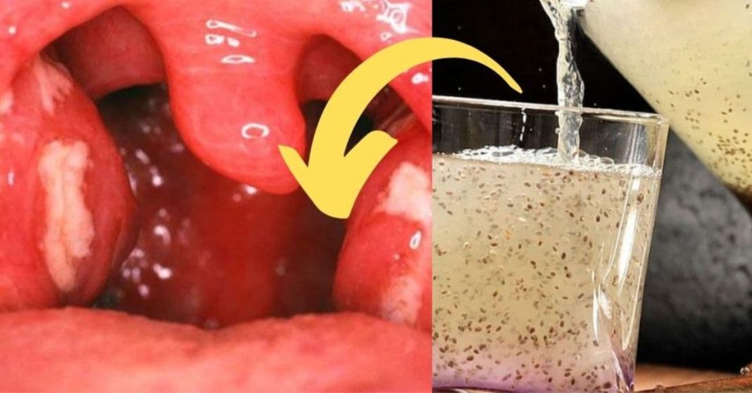 nato xalxuri - 2025-08-23T103817.911 (1)