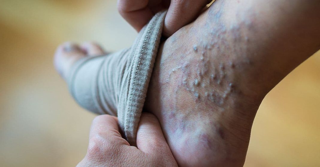 nato xalxuri - 2025-08-26T212030.704 (1)