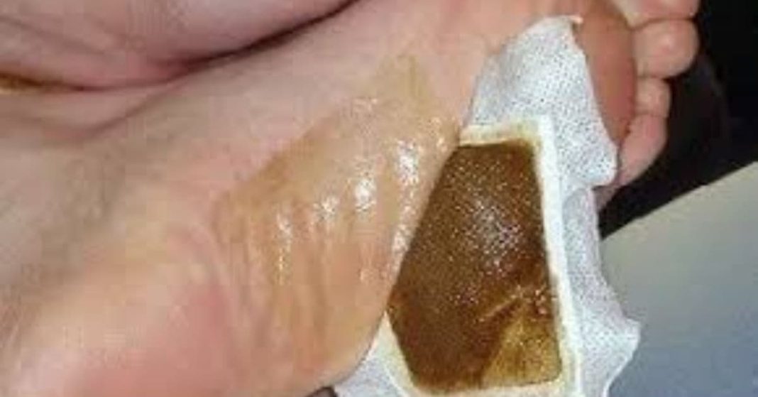 nato xalxuri - 2025-08-27T163020.604 (1)