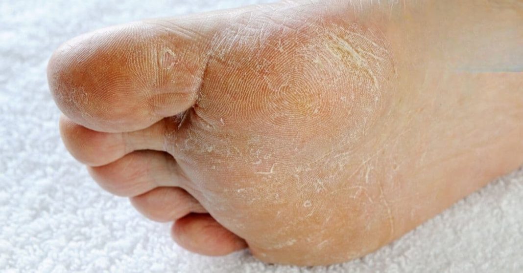 nato xalxuri - 2025-08-28T111414.402 (1)