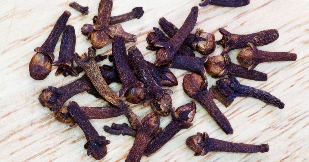 nato xalxuri - 2025-08-31T161039.779 (1)