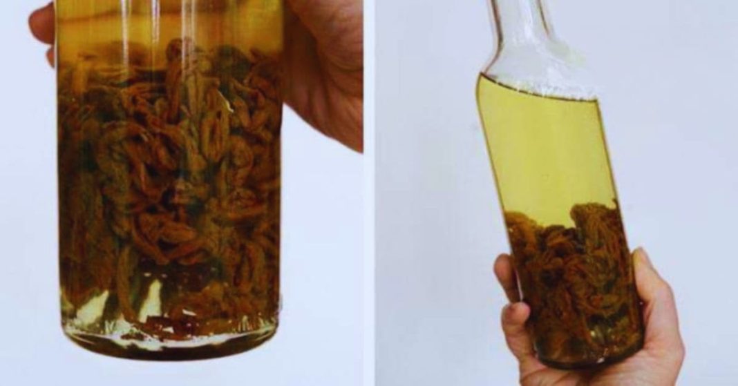 კუჭის წყლულის მკურნალობა