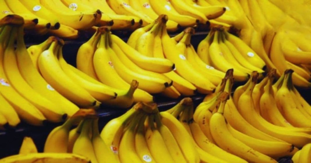 nato xalxuri (81) (1)