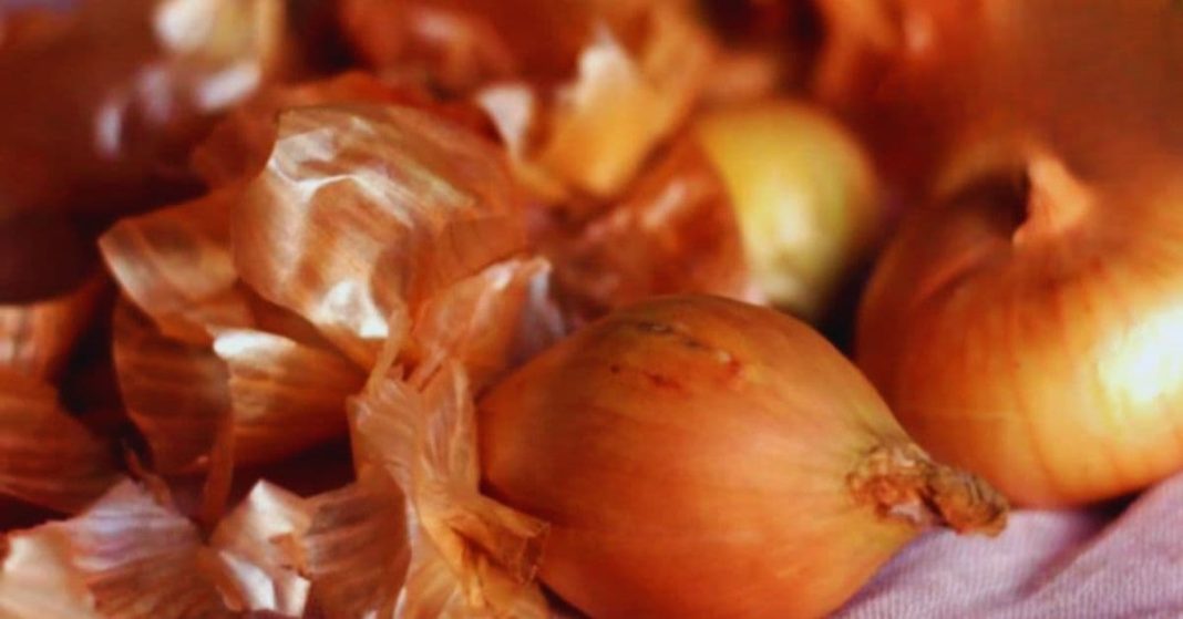 nato xalxuri (85) (1)