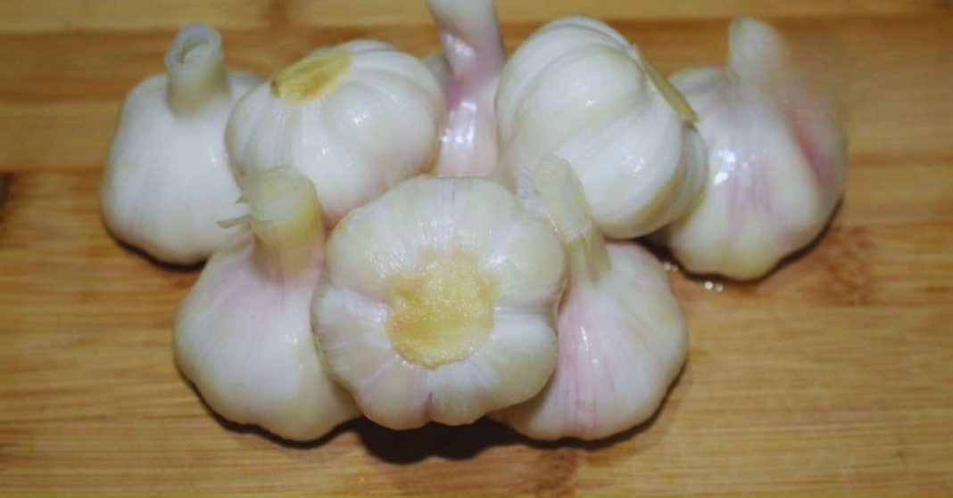 nato xalxuri (93) (1)