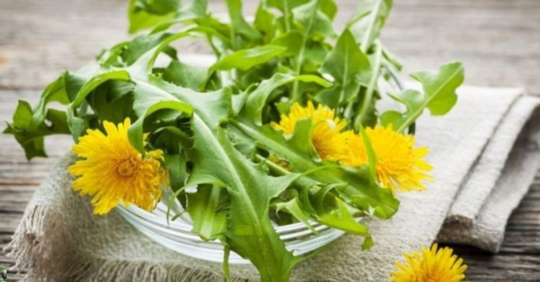 nato xalxuri (5) (1)