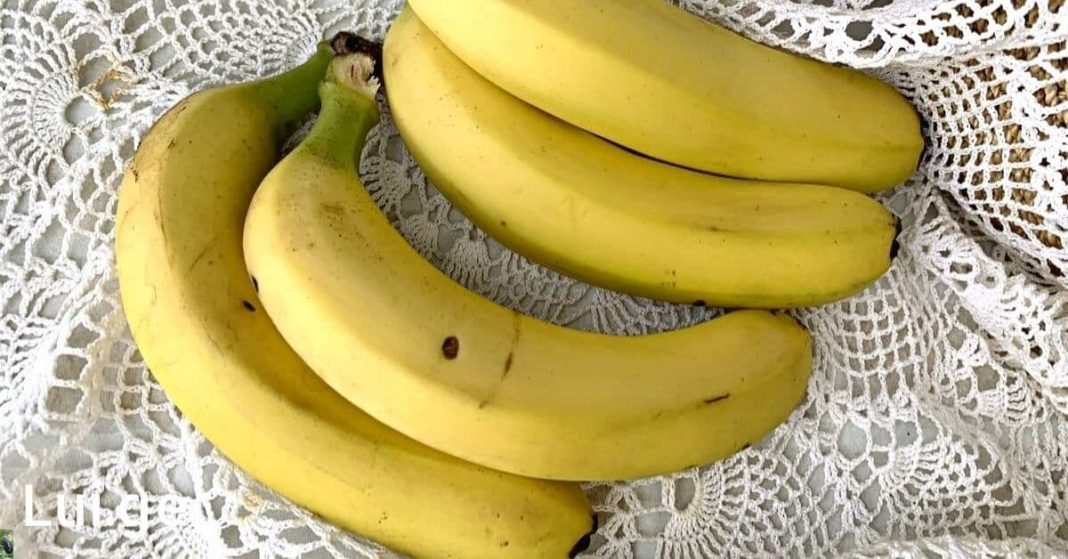 nato xalxuri (8) (1)