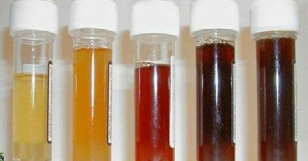 nato xalxuri (9) (1)