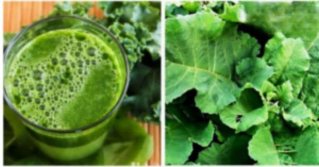 nato xalxuri (19) (1)