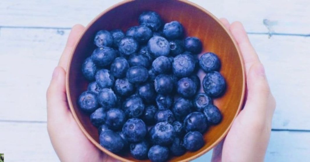 nato xalxuri (27) (1)