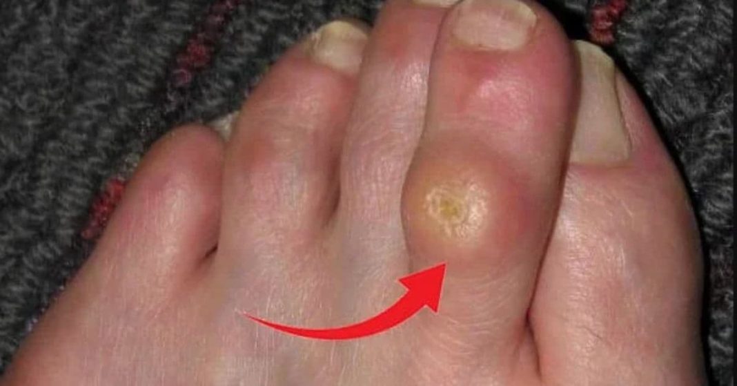 nato xalxuri (63) (1)