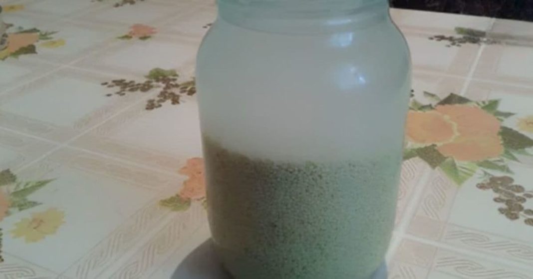 nato xalxuri - 2025-11-17T182541.790 (1)