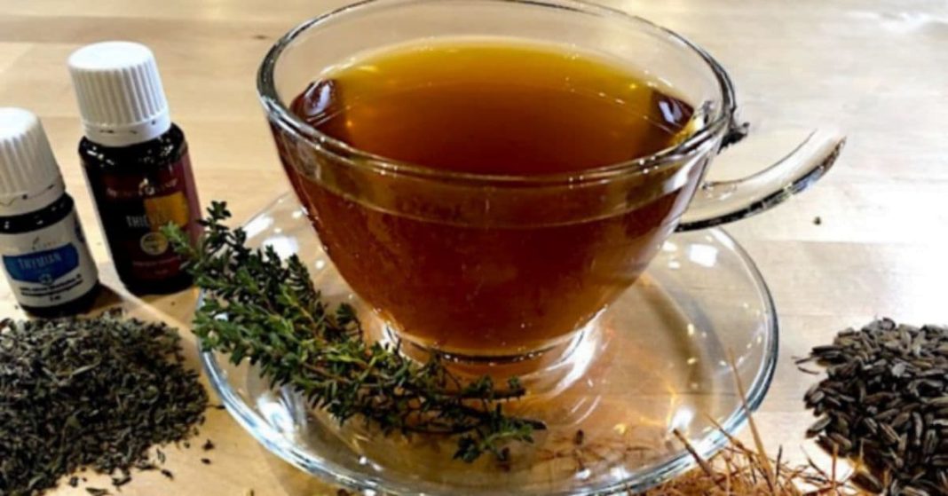 nato xalxuri - 2025-11-19T120220.983 (1)