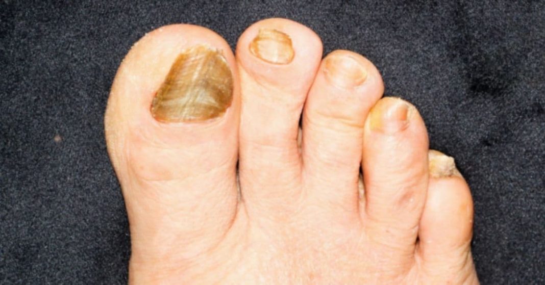 nato xalxuri - 2025-11-19T151019.523 (1)