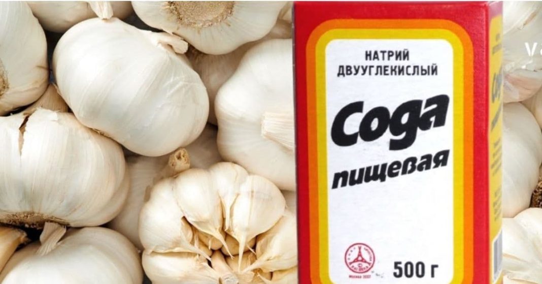 nato xalxuri (33) (1)