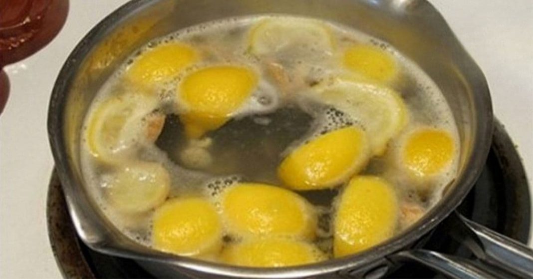 nato xalxuri (44) (1)