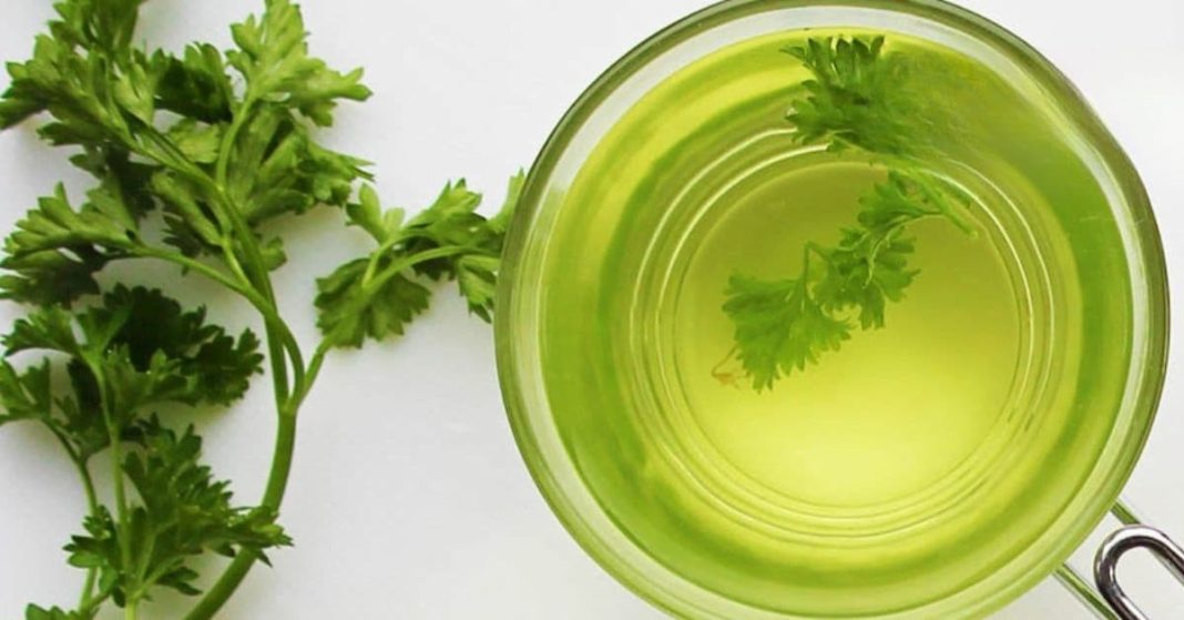 nato xalxuri (47) (1)