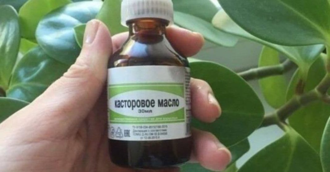 აბუსალათინის ზეთი