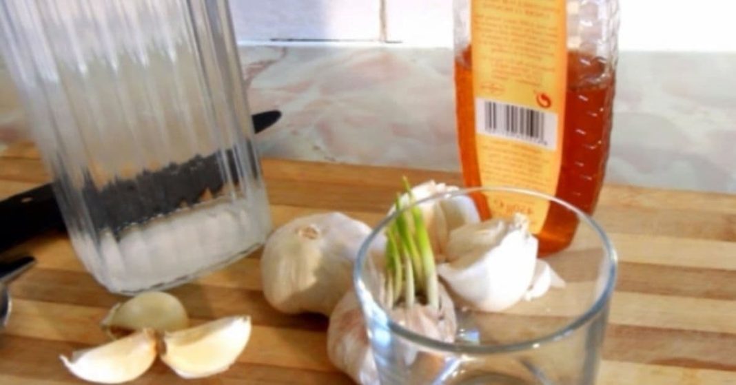 სპირტიანი ნიორი