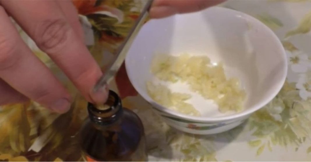 ნატო xalxuri (10) (1)