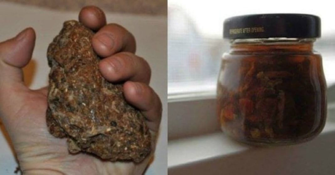 ნატო xalxuri (15) (1)