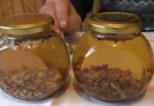 If you suffer from trembling hands — here’s what helped me