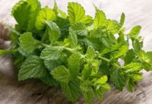 When the Heart Feels Uncomfortable in the Cold: A Personal Experience and a Traditional Folk Approach