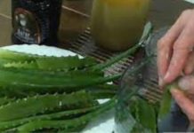 Aloe, Honey, and Lemon Syrup Used for Digestive Comfort