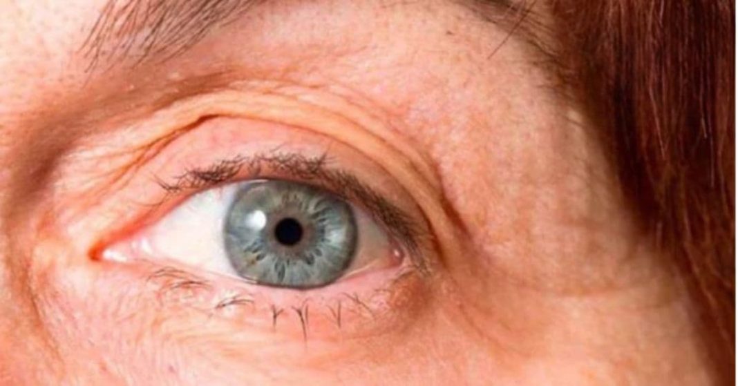 ნატო xalxuri (9) (1)