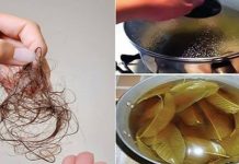 Two Simple Ingredients That May Help Support Hair Health and Reduce Excessive Hair Shedding